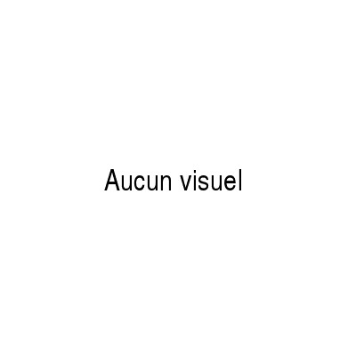 Compresseur SE 7H13 12V 119 PV8 R O DIR